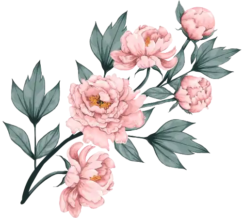 MSM Kosmetika natural skincare products in Pakistan with floral design background